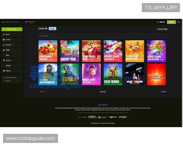 PG电子是什么游戏，详解其游戏类型、玩法规则以及如何安全高效地进行游戏体验